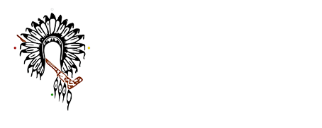 Grand Council Treaty #3