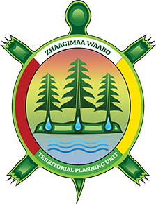 tpu