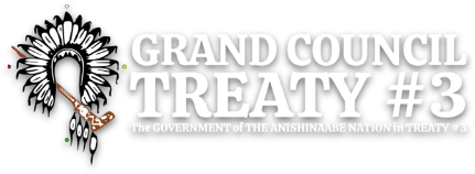 Grand Council Treaty #3