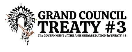 Grand Council Treaty #3