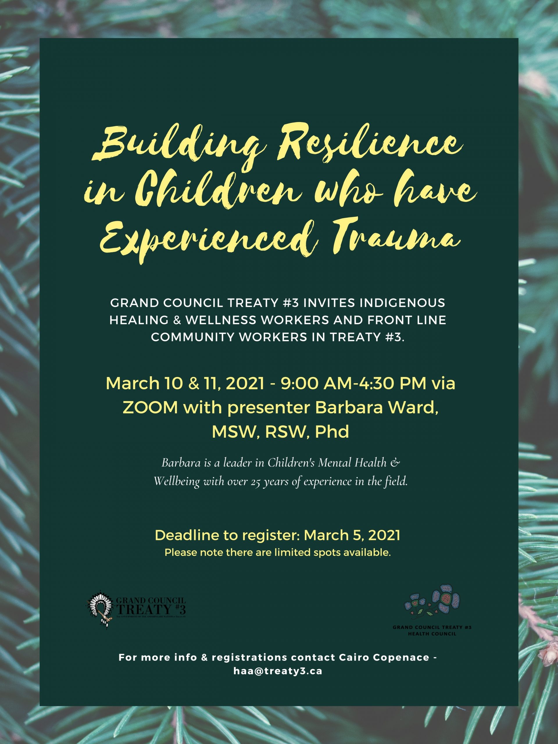 Building Resilience in Children who have Experienced Trauma