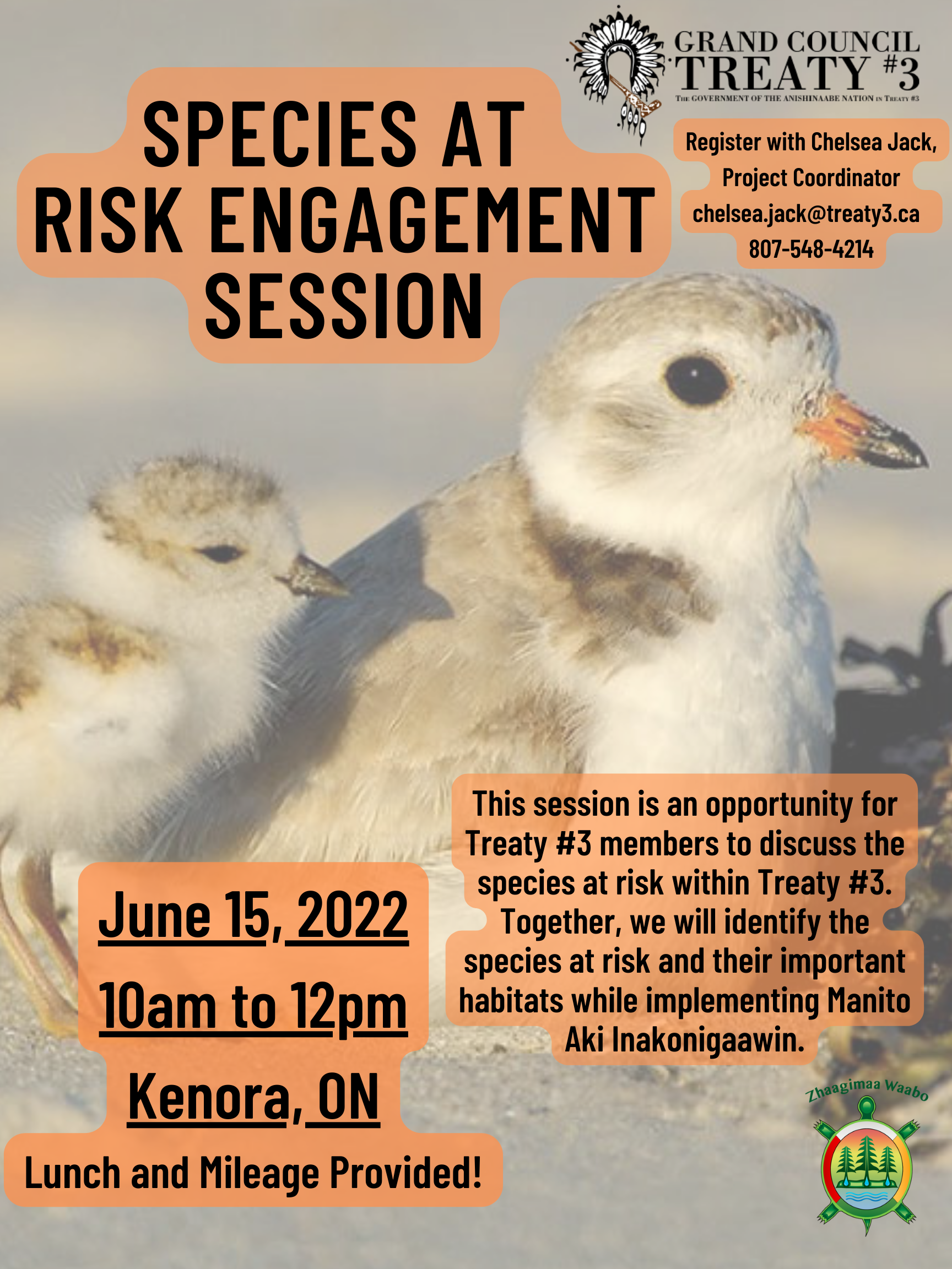 Species at Risk Engagement Session