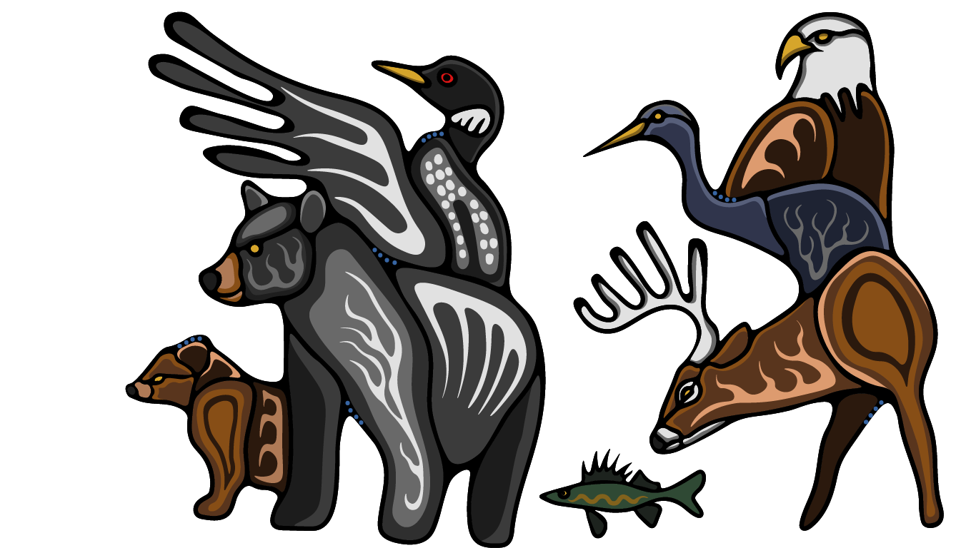 animals
