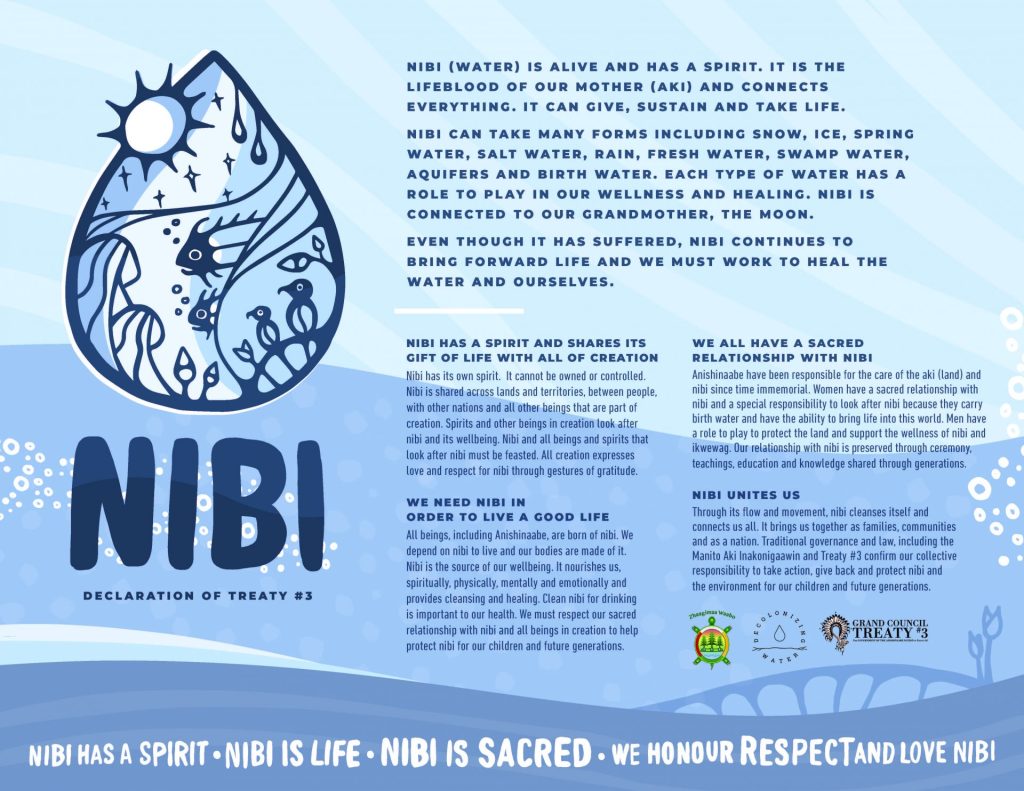 Treaty 3 Nibi Declaration