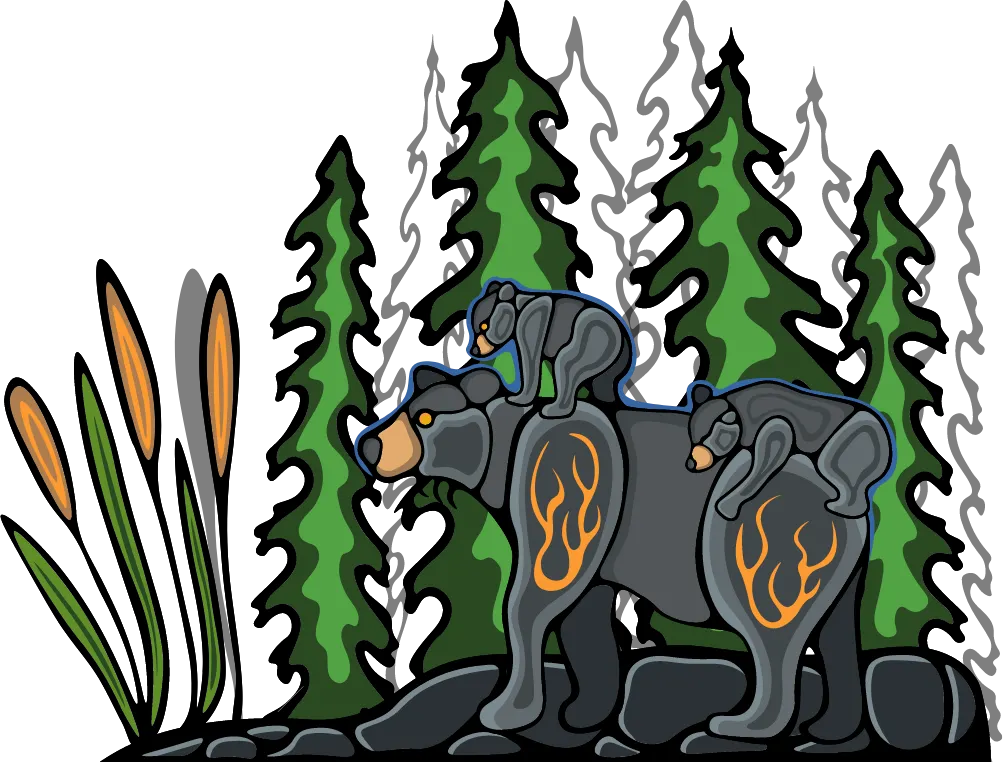 bear graphic