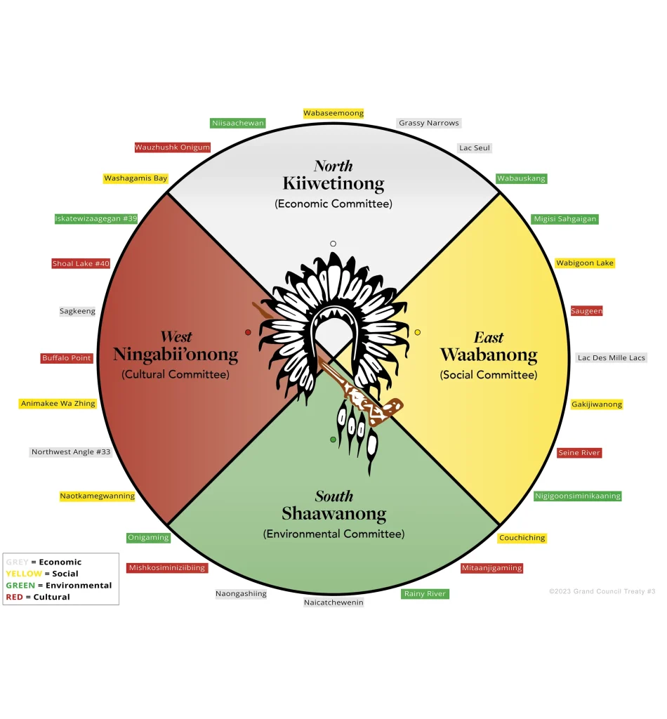 governance model